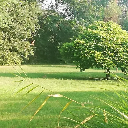 Benvenuti