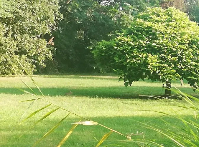 Benvenuti